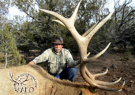 late season rifle elk arizona.